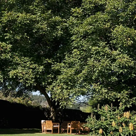 Prázdninový dům La Casa Vieja En Castaneda