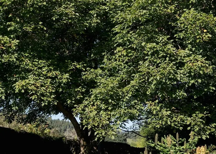 Hébergement de vacances La Casa Vieja En Castaneda